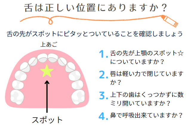 舌は正しい位置にありますか