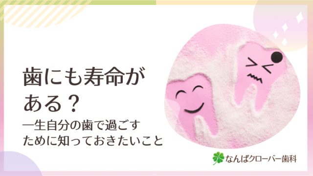 歯にも寿命がある？